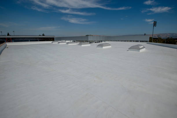 Best Flat Roofing  in Wailuku, HI