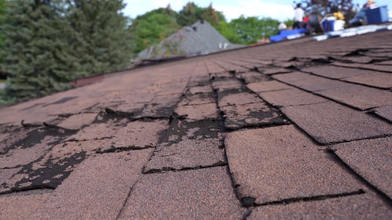 Best Roof Repair  in Wailuku, HI